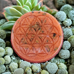 Orgonite portátil Flor da Vida 50mm - Escudo protetor - comprar online