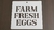 Stencils 20 x 20 cm FARM FRESH EGGS