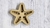 Molde Estrella de Mar 7 cm de diametro