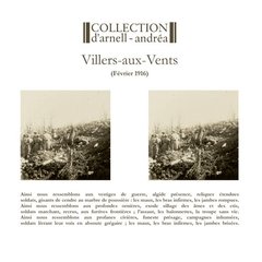 Collection D'Arnell-Andrea - Villers-Aux-Vents (VINIL 2016)