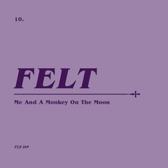 Felt - Me And A Monkey On The Moon, Remastered CD & 7´´ Vinil (BOX SET) - comprar online