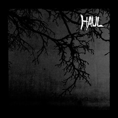 Haul - Separation (vinil)