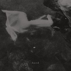 hord - ep # 2 (vinil 7" | limitado em 200 cópias | 2015)