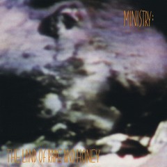 MINISTRY - THE LAND OF RAPE AND HONEY (CD)