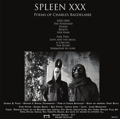 SPLEEN XXX - POEMS OF CHARLES BAUDELAIRE (VINIL) - comprar online