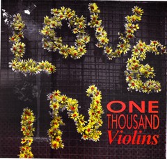 ONE THOUSAND VIOLINS - LOCKED OUT OF THE LOVE-IN (VINIL)