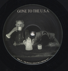 Depeche Mode ‎– Gone To The U.S.A. (VINIL) na internet