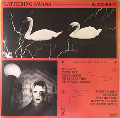 Choir Boy ‎– Gathering Swans (VINIL GREY MARBLE) - comprar online