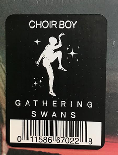 Choir Boy ‎– Gathering Swans (CD) - comprar online
