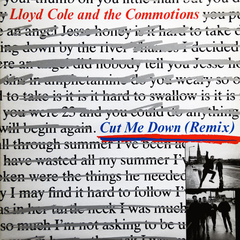 Lloyd Cole And The Commotions ‎– Cut Me Down (Remix) (VINIL)