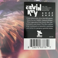 cEvin Key And The Subconscious Electronic Orchestra ‎– X̱wáýx̱way (VINIL DUPLO) - WAVE RECORDS - Alternative Music E-Shop