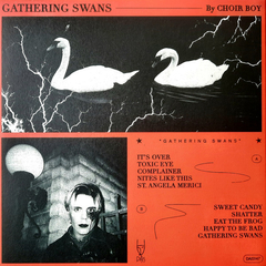 Choir Boy ‎– Gathering Swans (VINIL RED/ORANGE/BLACK SPLATTER) - comprar online