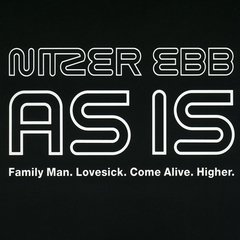 Nitzer Ebb - As Is (12")