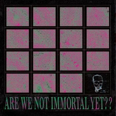 This Cold Night – Are We Not Immortal Yet? (VINIL - comprar online