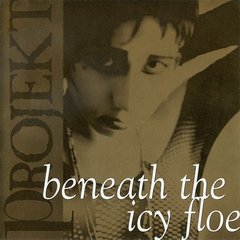 Compilação - Beneath The Icy Floe - Projekt Record's Sampler (CD)
