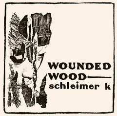 Schleimer K ‎– Wounded Wood (CD)