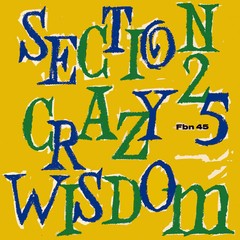 SECTION 25 - CRAZY WISDOM (12" VINIL)