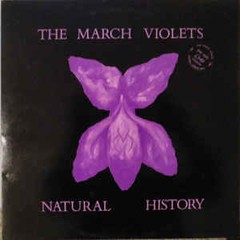 MARCH VIOLETS, THE - NATURAL HISTORY (VINIL)