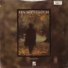 Ian McCulloch ?- September Song (7" VINIL) - comprar online