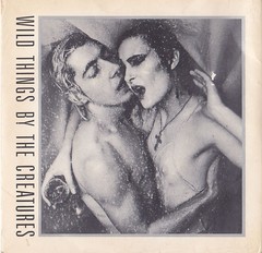 THE CREATURES (SIOUXSIE SIOUX + BUDGIE) - WILD THINGS (7" VINIL DUPLO)