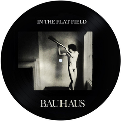 Bauhaus – In The Flat Field (VINIL PICTURE)