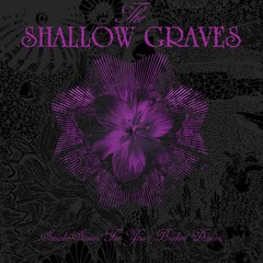 SHALLOW GRAVES, THE - SMOKE SCREEN FOR YOUR BROKEN DREAM (CD)
