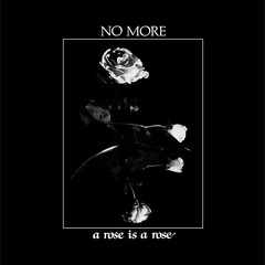 NO MORE - A ROSE IS A ROSE + 7" (VINIL)