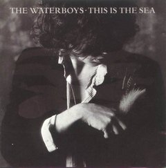 The Waterboys ?- This Is The Sea (VINIL)