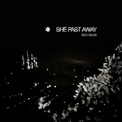 She Past Away - Narin Yalnzlk (VINIL)