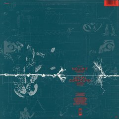 Front Line Assembly - No Limit (Damaged Goods Remix) (VINIL) - comprar online