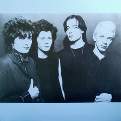 Siouxsie And The Banshees - The Scream (VINIL PICTURE) na internet