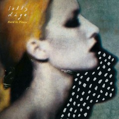 Sally Dige - Hard To Please (cd)