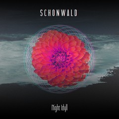 SCHONWALD - NIGHT IDYLL (VINIL)