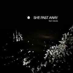 She Past Away - Narin YalnIzlIk (CD)