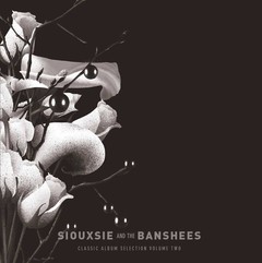 SIOUXSIE AND THE BANSHEES - CLASSIC ALBUM SELECTION VOL. 2 (BOX) - comprar online
