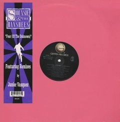 Siouxsie And The Banshees - fear (Of the Unknow) (12" vinil)