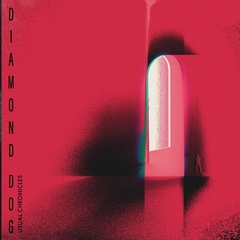 Diamond Dog - Usual Chronicles (CD)