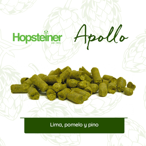 Apollo Hopsteiner