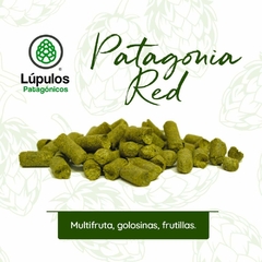 Patagonia Red