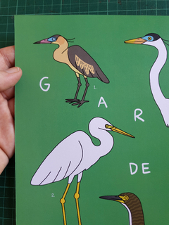 Poster Garzas de Argentina - tienda online