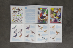 Pequeña guía de las aves de Buenos Aires - tienda online