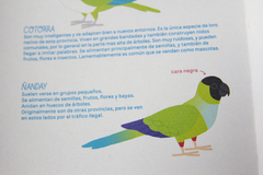 Pequeña guía de las aves de Buenos Aires - comprar online