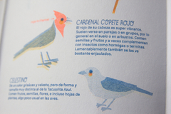 Pequeña guía de las aves de Buenos Aires - VERSION RISO - comprar online