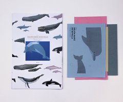 Delfín nariz de botella de papel para armar en internet