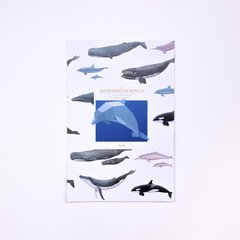 Delfín nariz de botella de papel para armar - comprar online