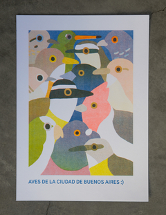 Print Aves de Buenos Aires, Risografía A4 V1
