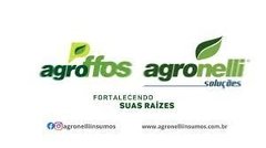 AGROFFÓS 100 - 1 KG - comprar online