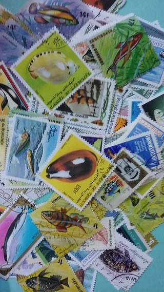 Colección Universal de 200 estampillas del tema FAUNA MARINA