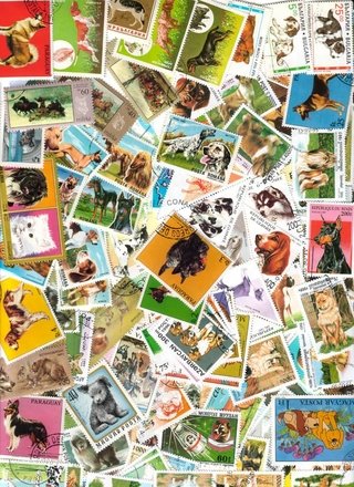 Colección Universal de 200 estampillas del tema PERROS