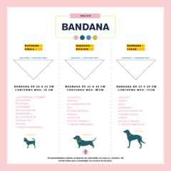 BANDANA BE REXY WHITE (FONDO ROSA) en internet